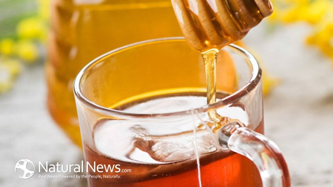  Raw Honey Drops Plum TX